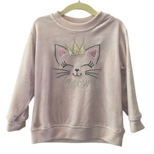 Soft Pink Velvet Sweatsuit 3T